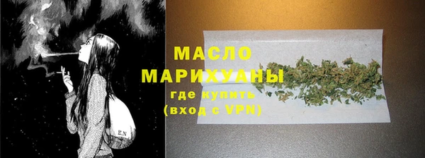 твердый Шадринск