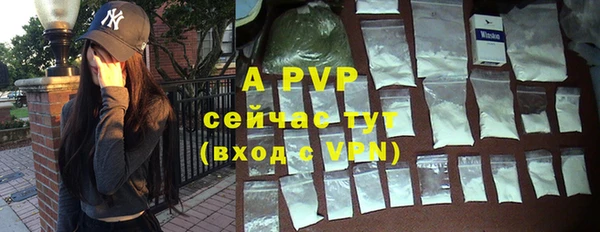 мет Елабуга